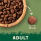 Harringtons Complete Chicken Adult Cat Food( 2kg )