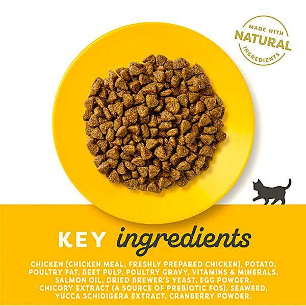 Applaws Chicken Dry Kitten Food(2kg) For Cat