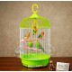 Golden Cat Round Bird Cage for Small Birds, 50cm Hanging Aviary with Adjustable Perches, Detachable Feeders & Removable Tray, Green & White