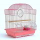 Golden Cat Premium Aviary Bird Cage 30x26x39 cm – Elegant Hanging Round Bird Cage with Slide-Out Cleaning Tray, External Feeder Cups & Activity Ring, Durable Decorative Indoor Cage for Finches, Canaries, Budgies & Small Birds