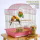 Golden Cat Premium Aviary Bird Cage 30x26x39 cm – Elegant Hanging Round Bird Cage with Slide-Out Cleaning Tray, External Feeder Cups & Activity Ring, Durable Decorative Indoor Cage for Finches, Canaries, Budgies & Small Birds