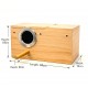Golden Cat Large Wooden Bird Breeding Box 34x19x18cm – Natural Nesting House with Reinforced Entrance Protector, Hinged Lid & Perch for Parrots, Cockatiels, Lovebirds, Budgies & Small Birds