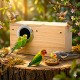 Golden Cat Large Wooden Bird Breeding Box 34x19x18cm – Natural Nesting House with Reinforced Entrance Protector, Hinged Lid & Perch for Parrots, Cockatiels, Lovebirds, Budgies & Small Birds