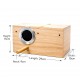 Golden Cat Medium Wooden Bird Breeding Box 29x15x15cm – Natural Nesting House with Reinforced Entrance Protector, Hinged Lid & Perch for Parrots, Budgies & Lovebirds