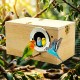 Golden Cat Small Wooden Bird Breeding Box 25x13x13cm – Natural Nesting House with Reinforced Entrance Protector, Hinged Lid & Perch for Budgies, Lovebirds, Finches & Small Birds