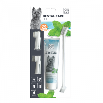 M-PETS Dental Mint Flavor Toothpaste Kit(100g) M-PETS Dental Mint Flavor Toothpaste Kit(100g)
