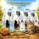 GOLDEN CAT Salmon Flavored Adult Dry Cat Food 12kg (4 x 3kg Pack) | Premium Complete & Balanced Nutrition for Adult Cats | High Protein Omega-3 Formula for Healthy Skin, Shiny Coat, Strong Digestion, Immunity & Energy | EU Standard Cat Food