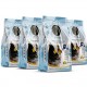 GOLDEN CAT Salmon Flavored Adult Dry Cat Food 12kg (4 x 3kg Pack) | Premium Complete & Balanced Nutrition for Adult Cats | High Protein Omega-3 Formula for Healthy Skin, Shiny Coat, Strong Digestion, Immunity & Energy | EU Standard Cat Food