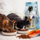 GOLDEN CAT Salmon Flavored Adult Dry Cat Food 3kg | Premium Complete & Balanced Nutrition for Adult Cats | High Protein Formula with Omega-3 for Healthy Skin, Shiny Coat, Strong Digestion, Immunity & Energy Support | EU Quality Cat Food