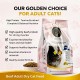 Golden Cat Beef Adult Dry Cat Food 3kg – High Protein 29% Premium Cat Food – Complete Balanced Nutrition for Adult Cats – Rich in Taurine, Vitamins & Minerals – Supports Healthy Digestion, Strong Bones & Shiny Coat – EU Quality Standard Pet Food