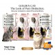 Golden Cat Beef Adult Dry Cat Food 3kg x 4 Bags (12kg Total) – High Protein 29% Complete & Balanced Nutrition for Adult Cats – Premium EU Standard Cat Food with Taurine, Vitamins & Minerals for Healthy Digestion, Coat & Bones
