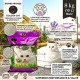 Golden Cat Bentonite Clumping Cat Litter 10L (8kg) – Lavender Scented, Strong Clumping Natural Clay, Odor Control, Dust-Free, Bacteria Prevention, Premium Scoopable Cat Litter