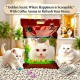 Golden Cat Bentonite Clumping Cat Litter 10L (8kg) – Coffee Scented, Strong Clumping Natural Clay, Odor Control, Dust-Free, Bacteria Prevention, Premium Scoopable Cat Litter