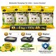 Golden Cat Bentonite Clumping Cat Litter 40L (32kg) – Lemon Scented (8kg x 4 Bags), Strong Clumping Natural Clay, Odor Control, Dust-Free, Bacteria Prevention, Premium Scoopable Cat Litter