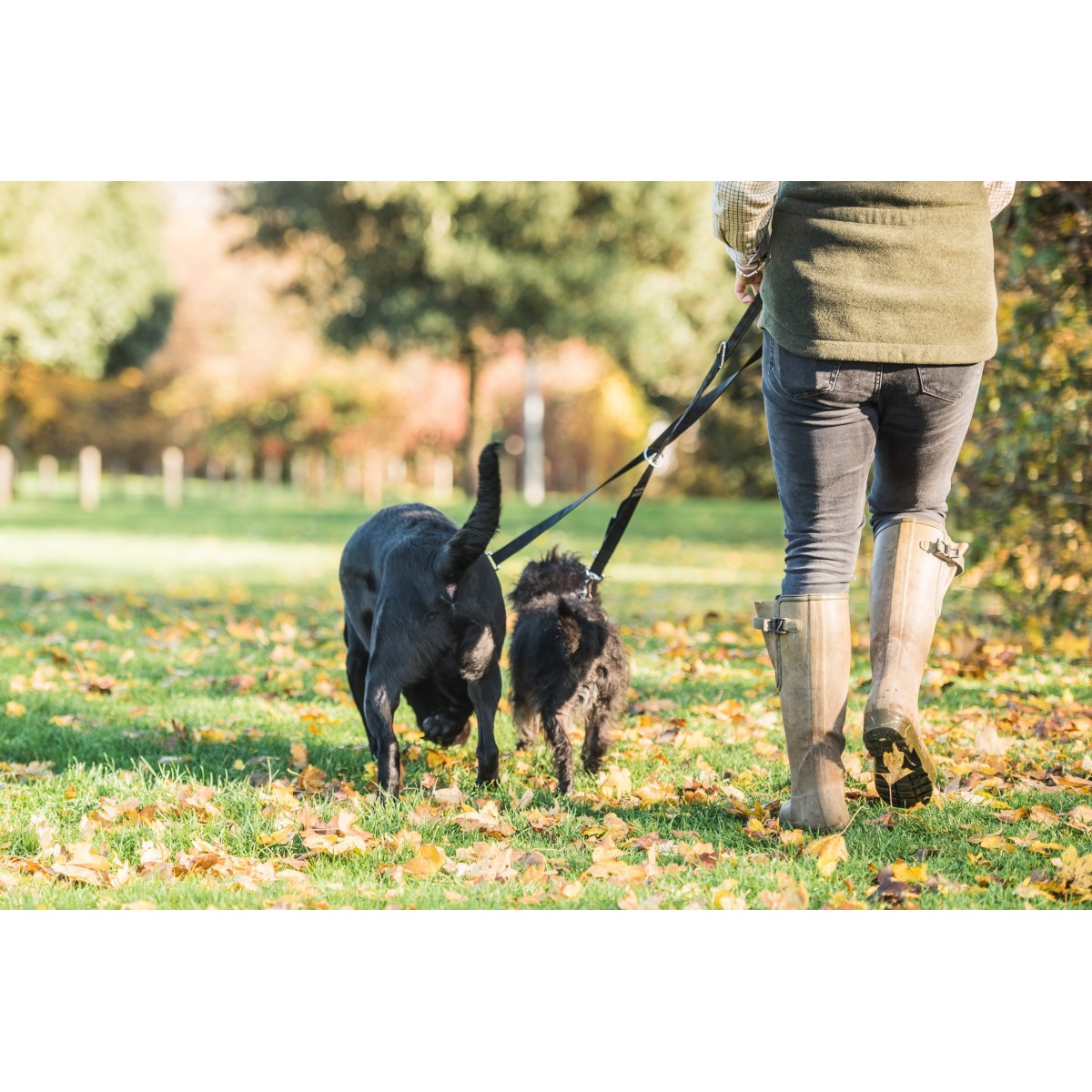 MIKKI MULTI LEAD WALK RITE DUAL DOG ( 1.9 CM )- 755349233403 | Online ...