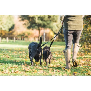 MIKKI MULTI LEAD WALK RITE DUAL DOG ( 1.9 CM )