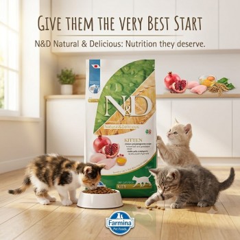 Farmina N&D Kitten Chicken & Pomegranate Grain-Free Dry Cat Food 10kg – Complete High Protein Nutrition for Kittens, Pregnant & Nursing Cats – DHA for Brain Development, Immunity & Healthy Growth