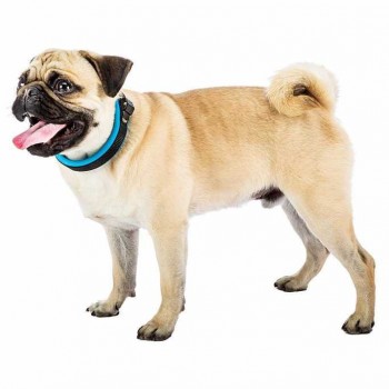 Ferplast Dog Collar With Soft Padding blue(m)