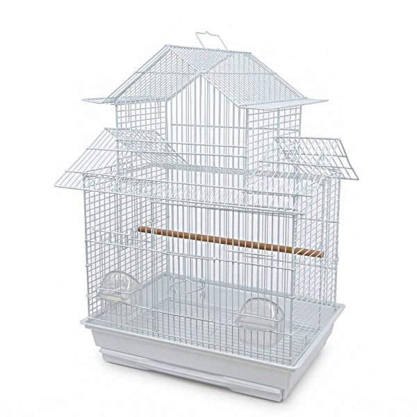 Dayang Bird Cage 605A (Medium) – Premium Metal Bird Cage for Cockatiels, Lovebirds & Small Parrots | 52cm x 43cm x 68cm Spacious Aviary with 5-Door Access System, Removable Cleaning Tray, Durable & Easy-Clean Bird Habitat for Indoor Use