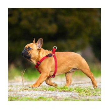 DOCO NYLON HARNESS FOR DOG ( LARGE RED )