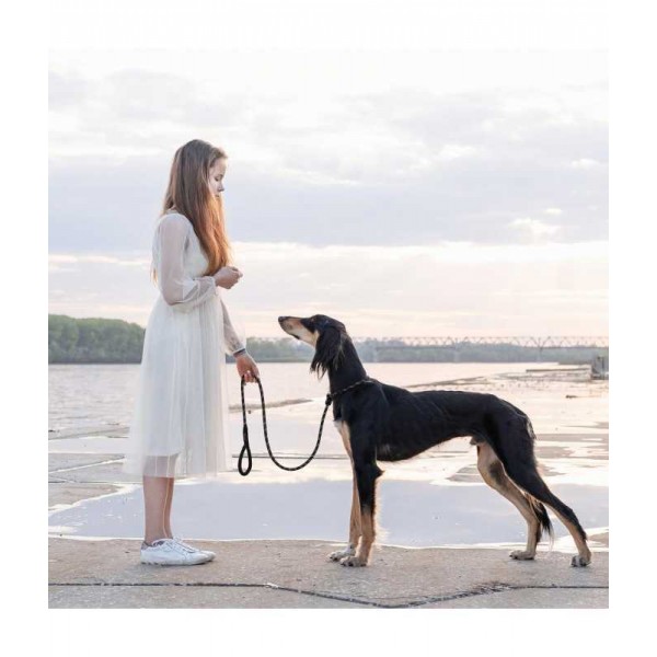 DOCO REFLECTIVE ROPE LEASH-COLLAR for dog ( 30 CM SAFETY ORANGE )