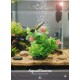 Aquarium Plastic Plant Decoration M420 (W7 × H13 cm) | Fish-Safe Artificial Aquarium Plant with Weighted Base | Non-Toxic PVC, Soft Foliage, Low Maintenance | Suitable for Freshwater & Saltwater Tanks
