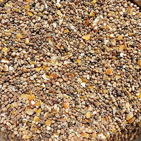 Golden Cat Premium Mixed Bird & Poultry Seeds 20kg Bag – High Protein Natural Whole Grain Feed for Chickens, Hens, Roosters, Pigeons, Doves & Wild Birds – Corn, Millet & Seed Blend