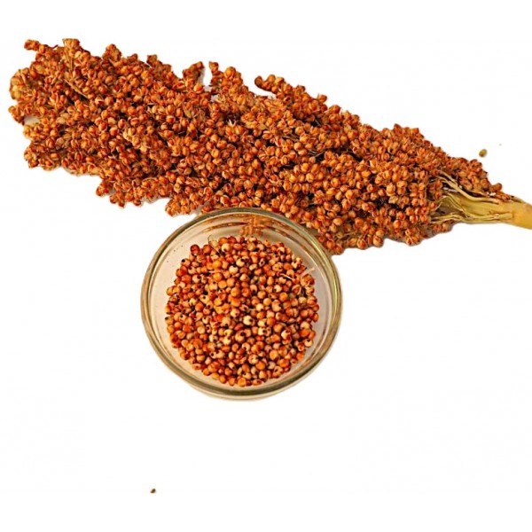 Premium Red Sorghum Seeds – 10kg Bag | Nutritious Feed for Birds, Hamsters, Gerbils, Mice, Rats & Livestock | High-Protein, Vitamin-Rich Natural Grain