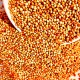Premium Red Sorghum Seeds – 10kg Bag | Nutritious Feed for Birds, Hamsters, Gerbils, Mice, Rats & Livestock | High-Protein, Vitamin-Rich Natural Grain