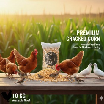 Premium Yellow Cracked Corn (Broken Corn) – 10kg Bag | High-Energy Feed for Poultry, Chickens, Ducks, Turkeys, Pigeons, Doves, Parrots, Budgies, Finches, Wild Birds, Rabbits, Horses, Goats, Sheep, Cattle, Deer & Small Animals