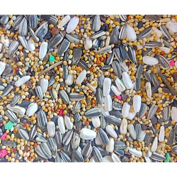 Al Masroor Premium Bird Mix – 20 kg Bag | High-Quality Seed Blend for Parrots, Parakeets, Finches, Doves & Wild Birds | Nutrient-Rich, Supports Feather Health & Immunity