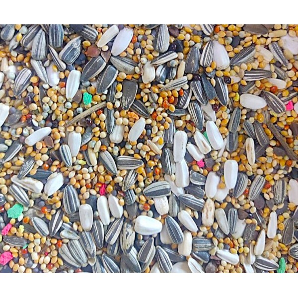 Al Masroor Premium Bird Mix – 20 kg Bag | High-Quality Seed Blend for Parrots, Parakeets, Finches, Doves & Wild Birds | Nutrient-Rich, Supports Feather Health & Immunity