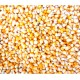 Al Masroor Premium Whole Yellow Corn Kernels 20 kg – High-Energy Popcorn Seeds for Parrots, Pigeons, Chickens, Ducks, Quail, Wild Birds, Poultry, Livestock & Wildlife Feed