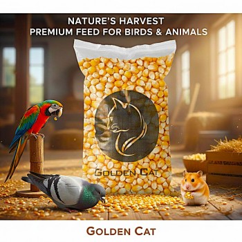 Premium Whole Yellow Corn Kernels 10 kg – High-Energy Dried Feed for Chickens, Pigeons, Ducks, Quails, Parrots, Peafowl, Rabbits, Cattle, Sheep, Goats, Horses, Pigs, Deer & Wild Birds