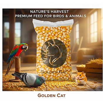 Premium Whole Yellow Corn Kernels 10 kg – High-Energy Dried Feed for Chickens, Pigeons, Ducks, Quails, Parrots, Peafowl, Rabbits, Cattle, Sheep, Goats, Horses, Pigs, Deer & Wild Birds