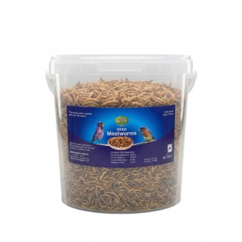 Petco Nature Dried Mealworms, 1.5KG – High-Protein Natural Treat for Birds, Chickens, Fish, Reptiles & Small Pets