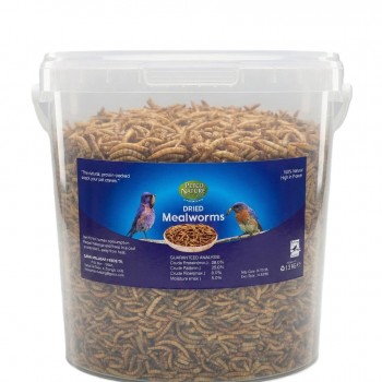 Petco Nature Dried Mealworms, 1.5KG – High-Protein Natural Treat for Birds, Chickens, Fish, Reptiles & Small Pets