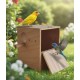 Wooden Bird Breeding & Nesting Box for Small Birds – Natural Wood Birdhouse with Perch & Easy-Clean Hinged Door – Cage or Aviary Mount – Size 20.5 × 18 × 22 cm