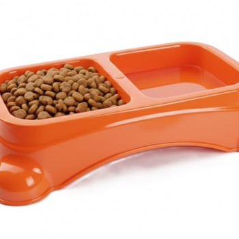 Large Double Pet Food & Water Bowl | Dual Feeding Station for Cats & Small Dogs | Durable Plastic Multi-Pet Bowl (Color: Orange) (35 × 23 × 9 cm)