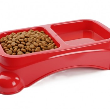 Large Double Pet Food & Water Bowl | Dual Feeding Station for Cats & Small Dogs | Durable Plastic Multi-Pet Bowl (Color: Red) (35 × 23 × 9 cm)