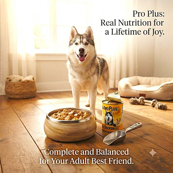 Pro Plus Premium Quality Dog Food – Chicken Chunks in Gravy, Complete Adult Nutrition, 400 g × 12 Cans