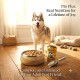 Pro Plus Premium Quality Dog Food – Chicken Chunks in Gravy, Complete Adult Nutrition, 400 g × 12 Cans