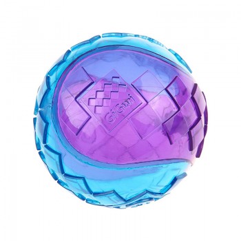 Gigwi G-Ball Purple&Blue Squeaker Transparent FOR DOG (Medium) Gigwi G-Ball Purple&Blue Squeaker Transparent FOR DOG (Medium)